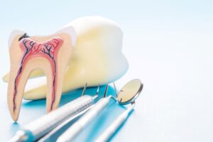 Two fake teeth, one with roots exposed, next to dental instruments on a pale surface